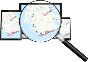 Interactive DMR Map [button]